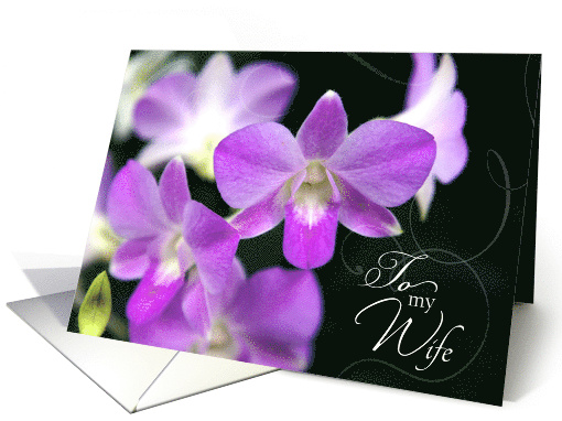 Anniversary Card for Wife with Pretty Purple Orchids card (367716)