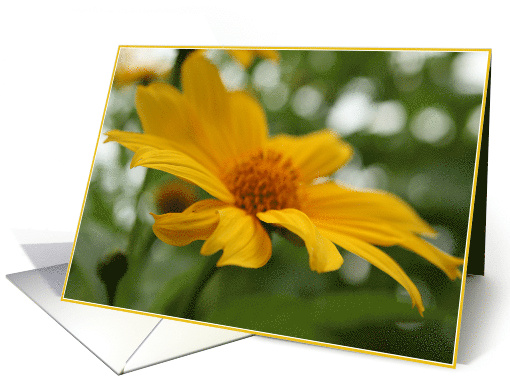 Happy Daisy Photo Be Happy card (369202)