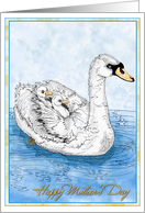 Mother Swan With Babies Ink drawing for Happy Mothers Day card