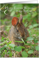 Happy Easter Wishes For Nephew with Bunny Rabbit Photo card