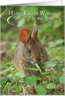 Happy Easter Wishes for Niece with Bunny Rabbit Photo card