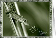 Lizard Birthday card