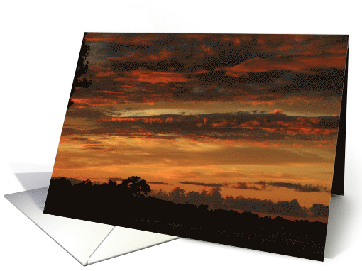 Deep Sunset Cloud Colors in Florida Photography card (404522)