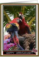 Parrot Couple and Palms Wedding Anniversary Card