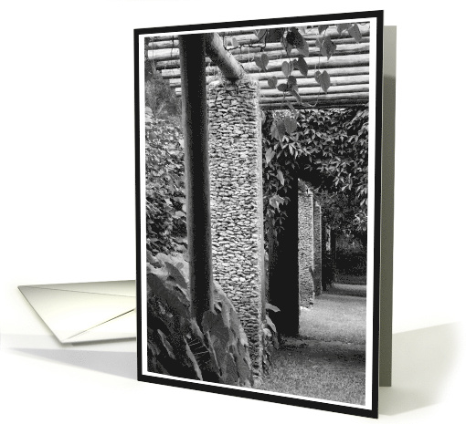You Are Not Alone Black and White Garden Encouragement card (414110)