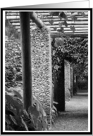 You Are Not Alone Black and White Garden Encouragement Card