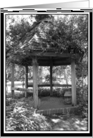 Thinking of You- Garden Gazebo card