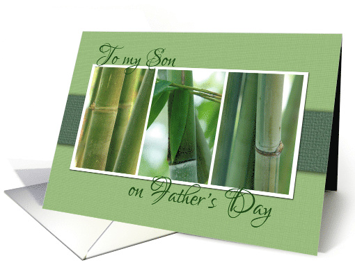 To My Son on Fathers Day with Bamboo Photos card (417623)