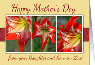 Mothers Day From Daughter and Son in Law with Amaryllis Flowers card