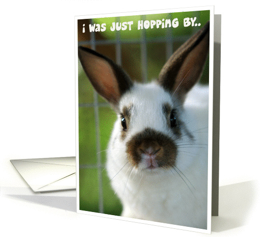Hopping By to Wish You a Happy Birthday card (429181)