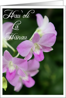 Hawaiian Birthday Card with Orchids hau oli la hanau card
