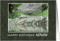 Happy Birthday Nephew with Alligator Photo card