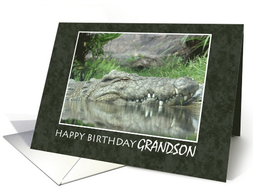 Happy Birthday Grandson with Alligator Photo card (445603)
