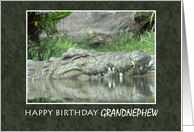 Happy Birthday Grandnephew with Alligator Photo card