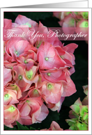 Thank You Wedding Photographer for Pink Hydrangea card