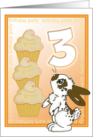 3rd Birthday Party Invite-Chocolate Cupcakes-Orange card