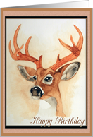 Watercolor Deer Portrait Birthday Card
