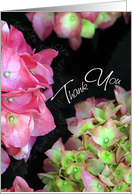Thank You for Being My Maid of Honor - Hydrangea card