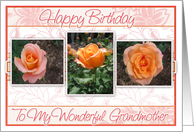 Happy Birthday to a Wonderful Grandmother with Roses card