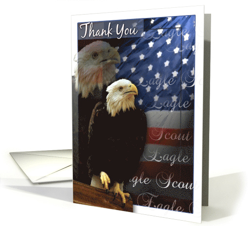 Thank You for Help and Support on Eagle Scout Project card (474645)