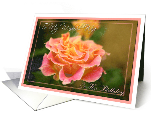 Happy Birthday to Wonderful Wife with Pink Rose Photo card (475166)