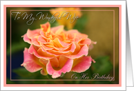 Happy Birthday to Wonderful Wife with Pink Rose Photo card