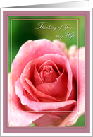 Thinking of You My Wife with pink rose card