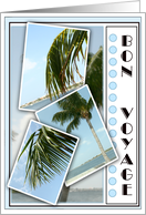 Bon Voyage with Tropical Florida Palm Tree Snapshots card