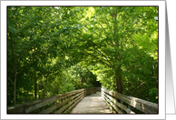 Nature Boardwalk Photo card