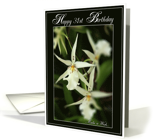 Happy 31st Birthday with Photo of White Orchids card (493385)