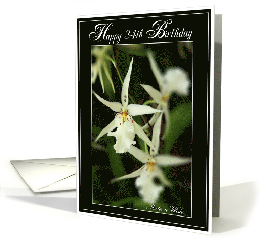 Happy 34th Birthday with White Orchids Photo card (493398)