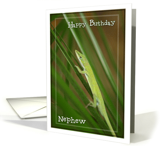 Happy Birthday Nephew with Green Lizard on Palm Photo card (497547)