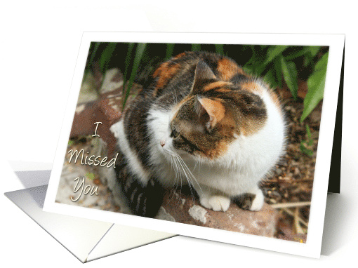 Welcome Home Calico Cat Photo card (497759)
