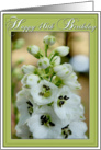 46th Birthday Card-White Delphinium card