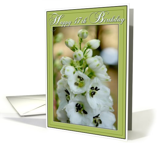 47th Birthday Card-White Delphinium card (497789)