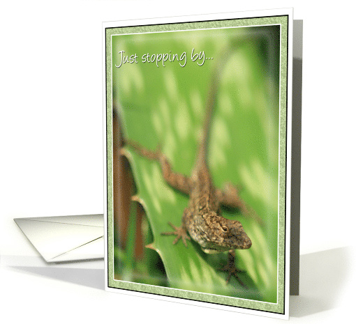 Lizard Just Stopping By to wish you a Happy Birthday card (510589)
