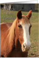 Happy 10th Birthday with Horse Photo Card