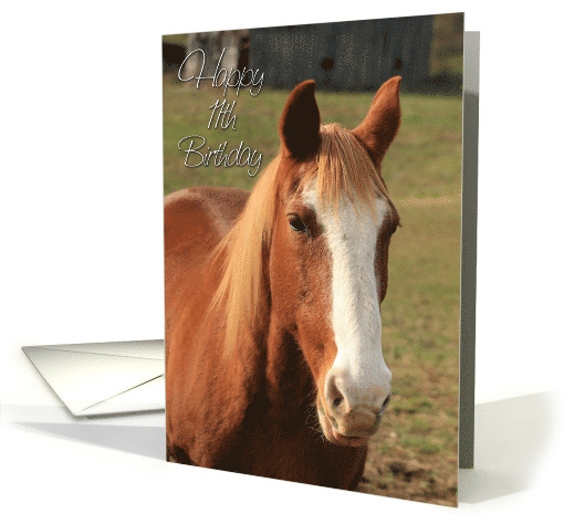 Happy 11th Birthday with Horse Photo card (543972)