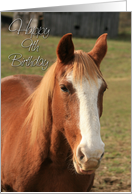 Happy 9th Birthday Card with a Brown Horse Photo Card