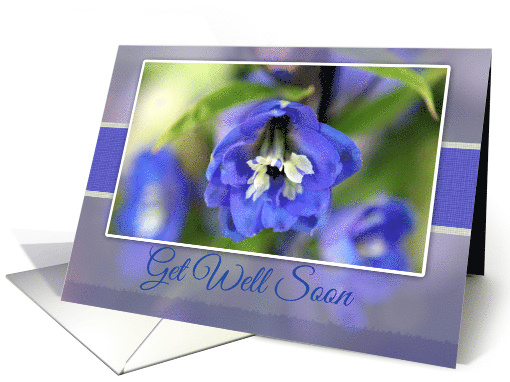 Get Well Soon with Blue Delphinium Photo card (544037)