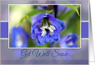 Get Well Soon with Blue Delphinium Photo card