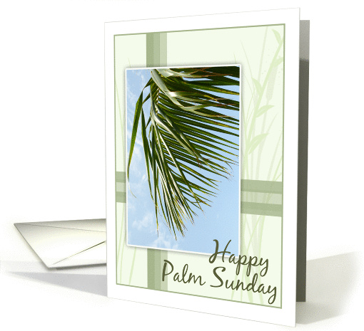 Palm Sunday-Palm Photo card (551813)