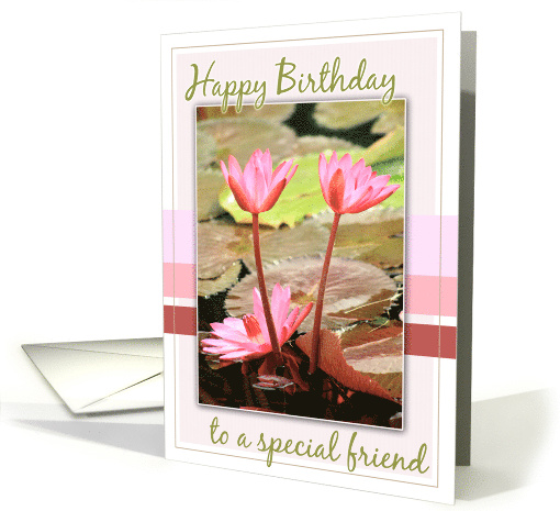 Happy Birthday to a special friend with Two Water Lilies Photo card