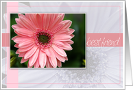 Best Friend Birthday with a Pink Daisy Photo Card