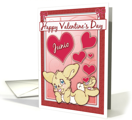 Happy Valentine's Day to Junio Bunny With Hearts card (560479)