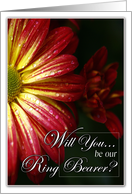 Will You Be Our Ring Bearer- Red and Yellow Daisy card