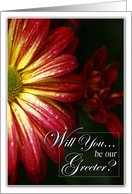 Will You Be Our Greeter with Red and Yellow Daisy card