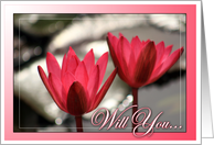 Will You Be My Flower Girl? Pink Water Lilies card