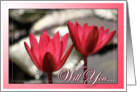 Will You Be My Flower Girl? Pink Water Lilies card