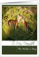 To My Daughter on Mother’s Day with Mother and Young Deer card